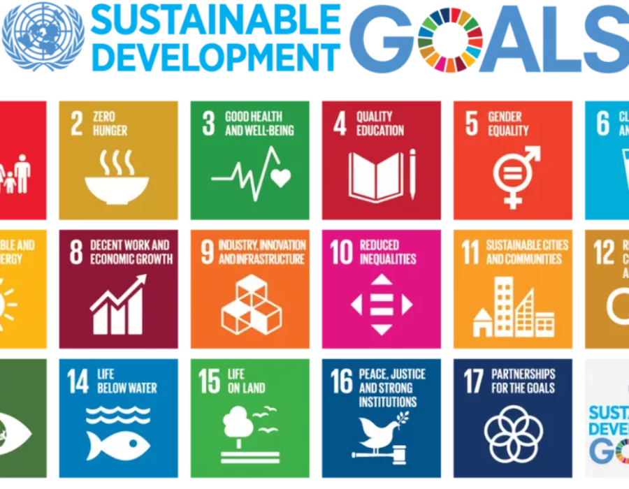 Global Coaching for Sustainable Leadership